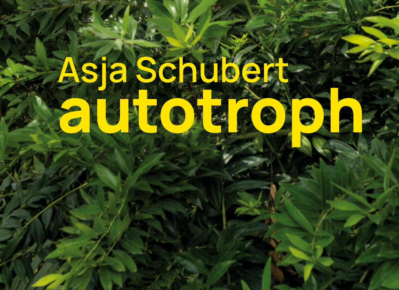 autotroph